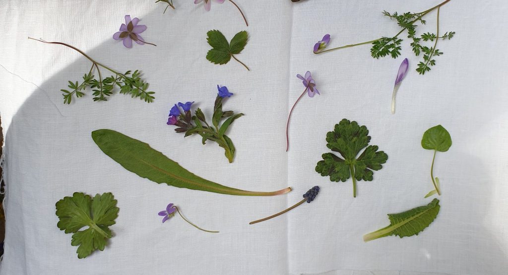 J&rsquo;ai testé le tataki&nbsp;zomé!